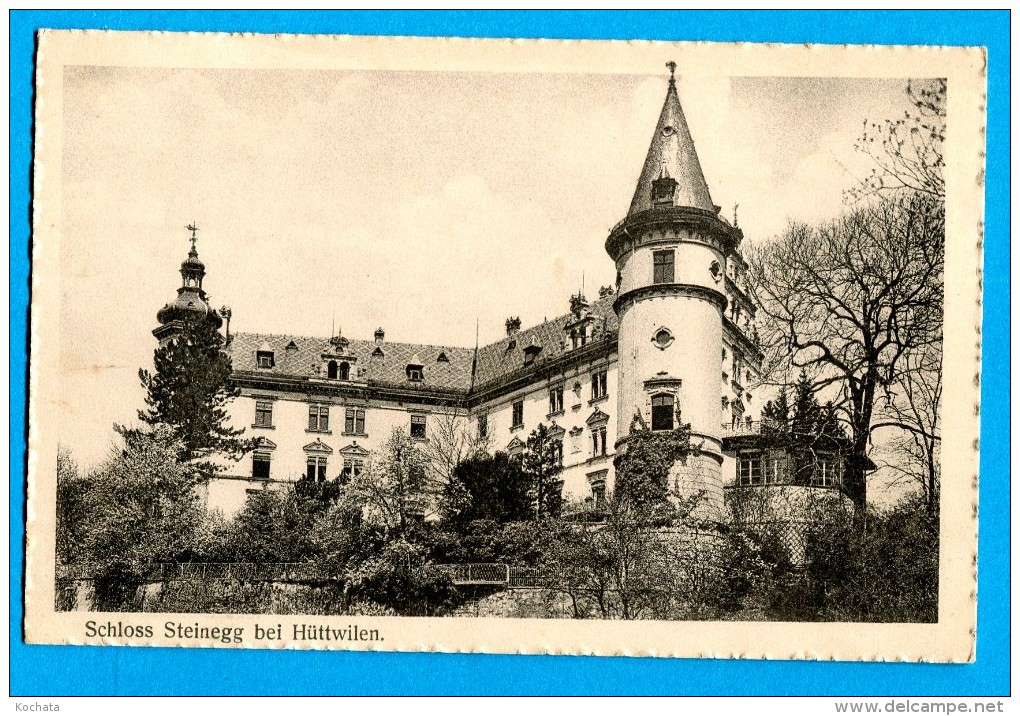 OV1.1140, Schloss Steinegg Bei Hüttwillen, Non Circulée - Uttwil