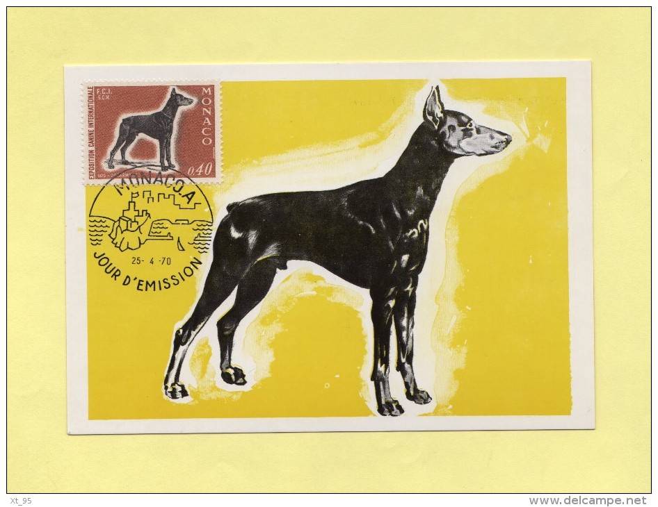 Monaco - Exposition Canine - Dobermann -  N°816 - Maximumkaarten