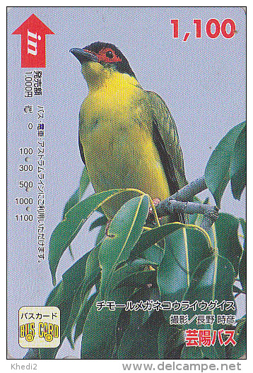 Carte Prépayée Japon - OISEAU Exotique - Exotic BIRD Japan Prepaid Card / V4 - Vogel Karte- BE Hiro 3943 - Pájaros Cantores (Passeri)