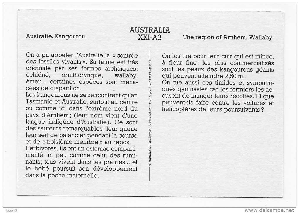 (RECTO / VERSO) THE REGION OF ARNHEM - WALLABY - KANGOUROU - Non Classés