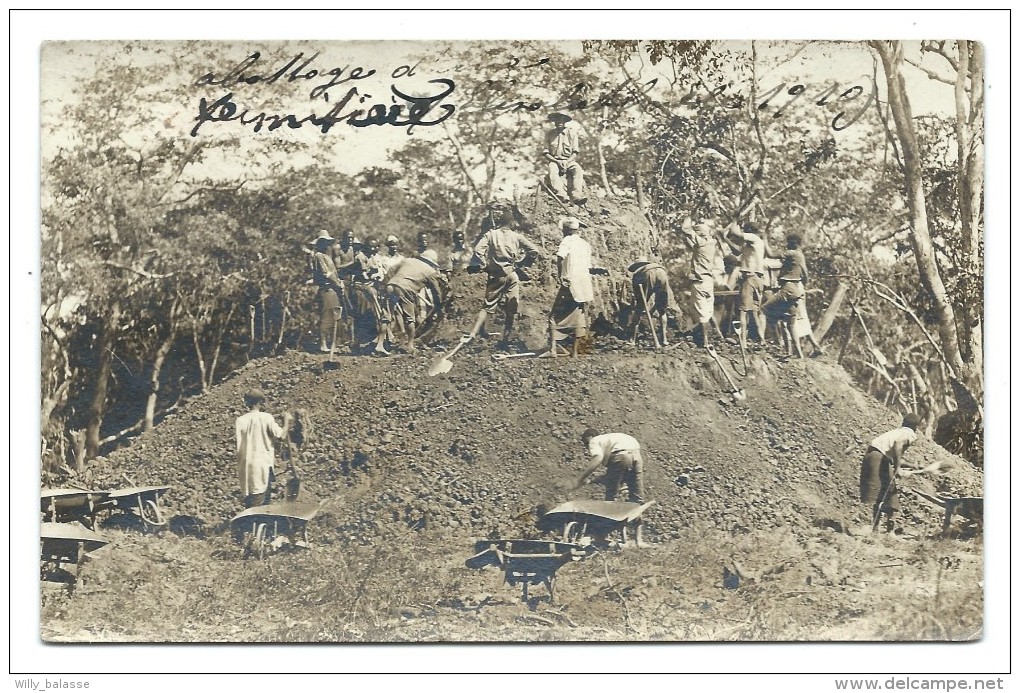 CPA - Photo Carte - Foto - ELISABETHVILLE - Abattage - 1910 1911  // - Belgisch-Congo