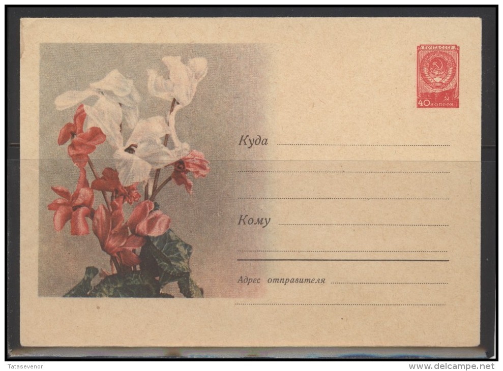 RUSSIA USSR Stamped Stationery Ganzsache 679 1958.04.17 Flora Plants Flowers - 1950-59