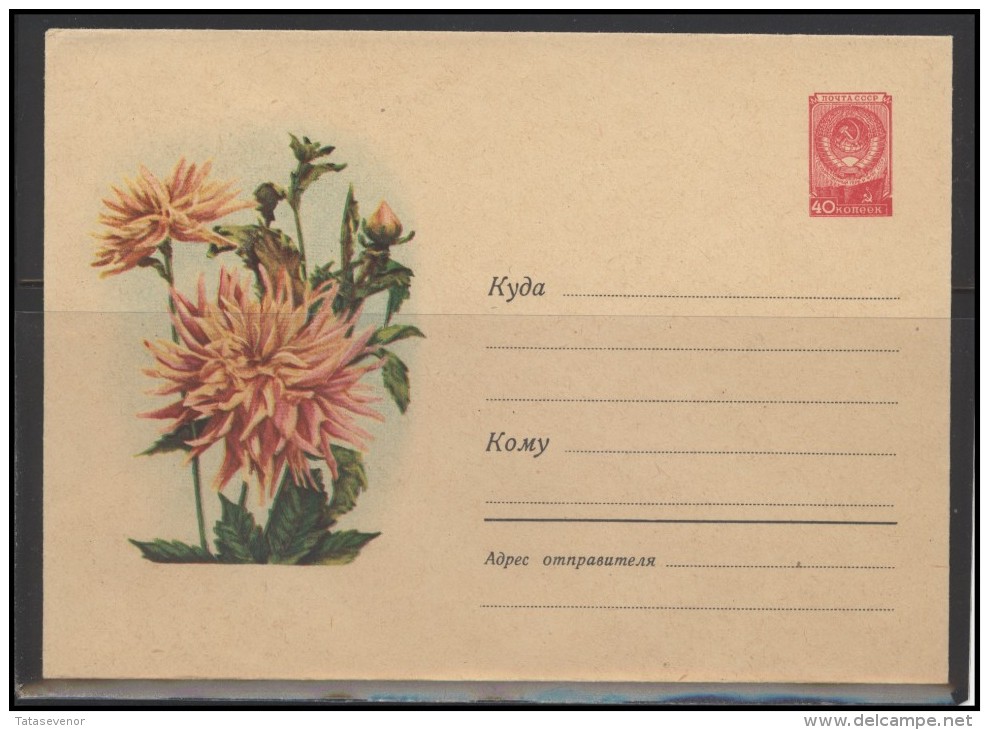 RUSSIA USSR Stamped Stationery Ganzsache 714 1958.06.25 Flora Plants Flowers - 1950-59