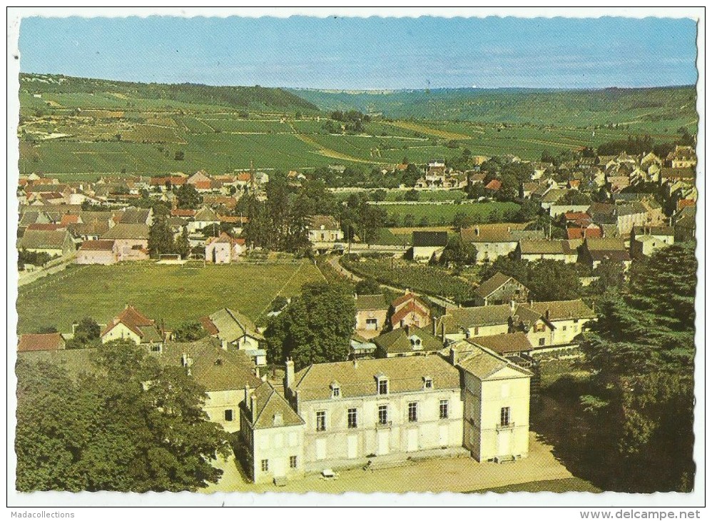 MEURSAULT (21)  Le Château - Meursault