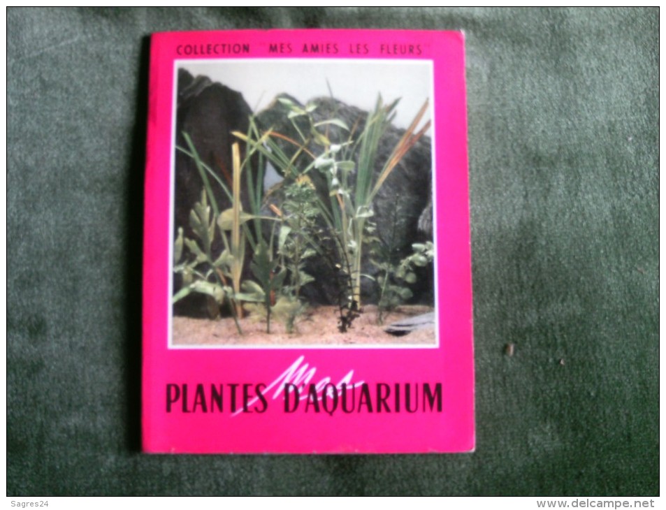 Plantes D`Aquarium - Collection Mes Amies Les Fleurs - Garden