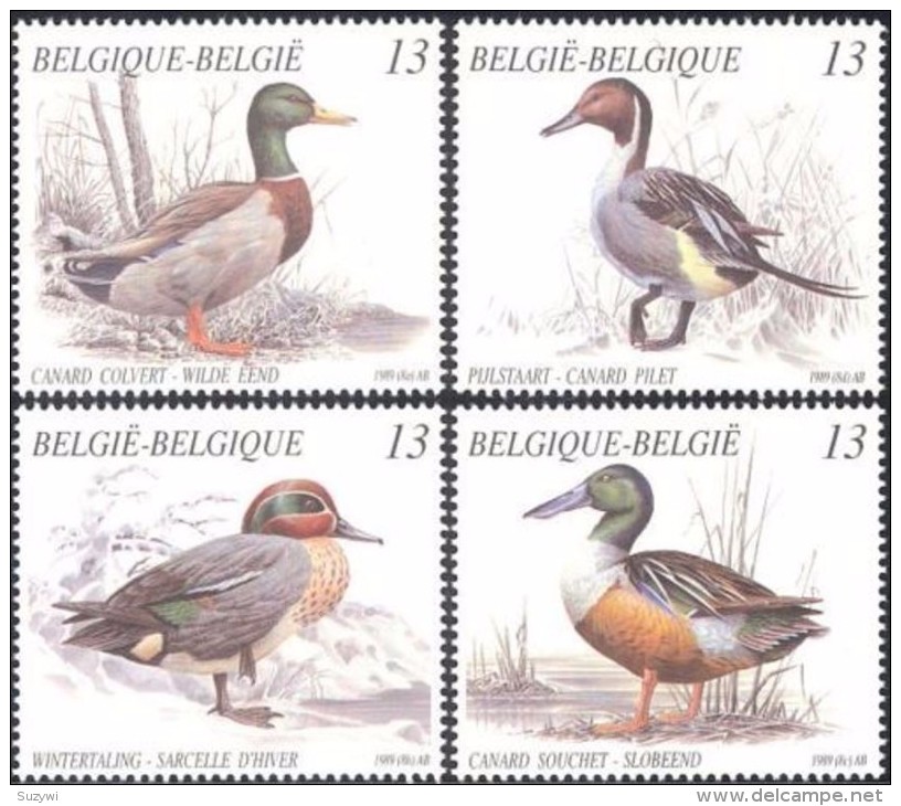 Belgium**DUCKS-Birds-4vals-Waterfowl-MNH-1989-Canards-Enten-Eenden- Oiseaux-Vogel-Ucelli-Wildlife- - Ongebruikt