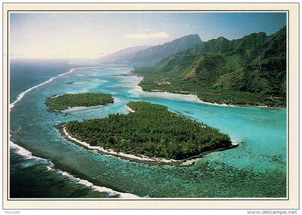 POLINESIA   LAGUNA  CORALLINA        (NUOVA CON DESCRIZIONE DEL SITO SUL RETRO) - Frans-Polynesië