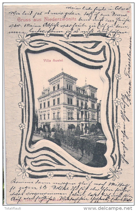 Gruss Aus Nieder ZWÖNITZ Villa Austel Belebt Jugendstil Rahmen 6.6.1904 Gelaufen - Zwoenitz