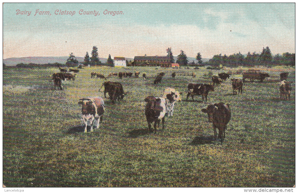 DAIRY FARM - CLATSOP COUNTY / OREGON - Autres & Non Classés