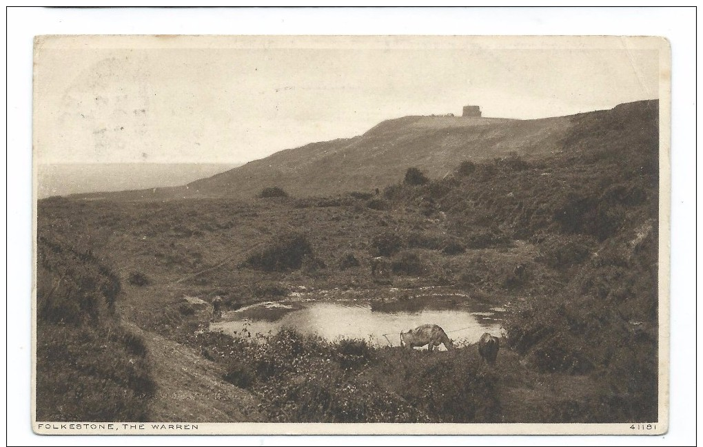 GB Vintage Postcard The Warren Folkestone Kent Posted In 1928 - Folkestone