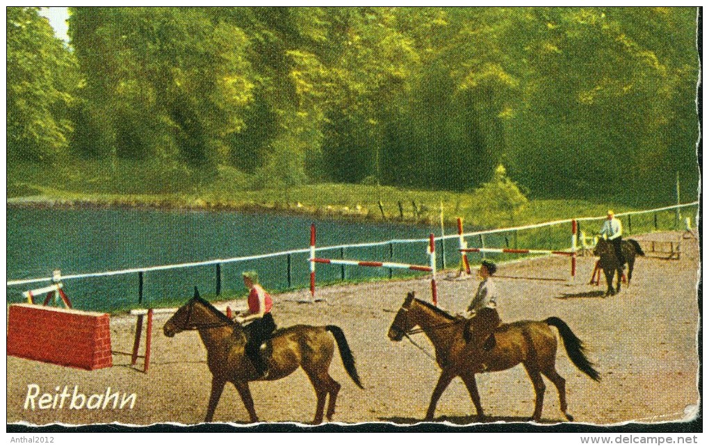 Haltern Am See - Lavesum - Reiterpension - Gasthof "Zum Schwalbental" Reitbahn Pferde Parcour 14.6.1974 - Haltern