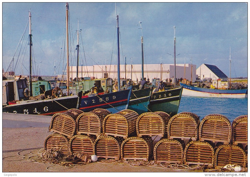 LESCONIL - Le Port - Vue Sur La Criée - Lesconil