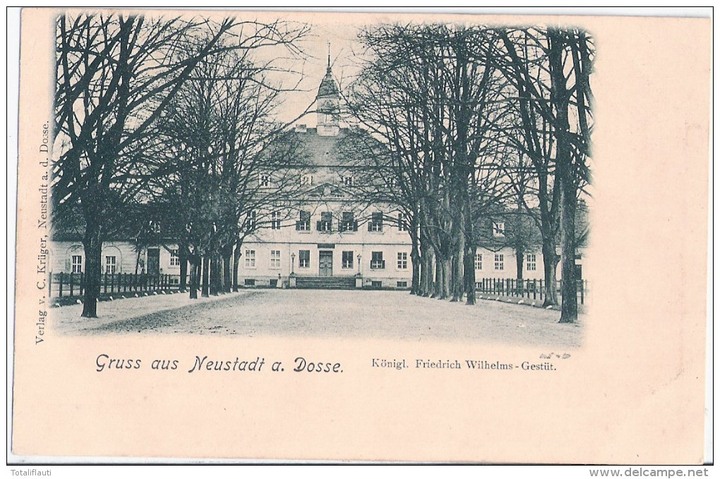 Gruss Aus NEUSTADT Dosse Königlich Fridrich Wilhelm Gestüt Um 1905 TOP-Erhaltung - Neustadt (Dosse)