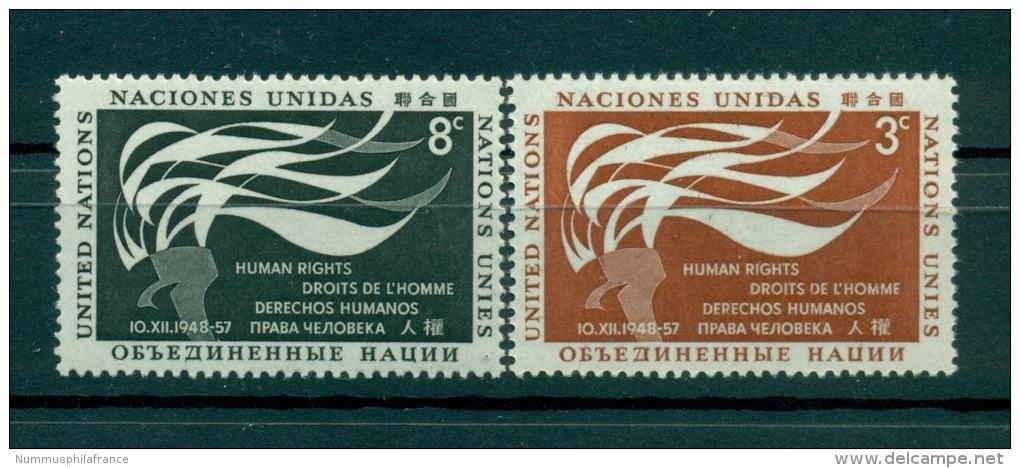 Nations Unies New York 1957 - Michel N. 64/65 - Droits De L'Homme - Unused Stamps