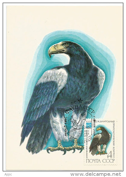 Aigle Pygargue Empereur , Belle Carte-maximum De 1982 - Fauna ártica