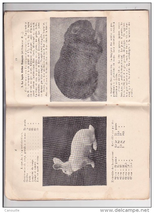 Lapin - Standard Suisse 1927 - Animaux