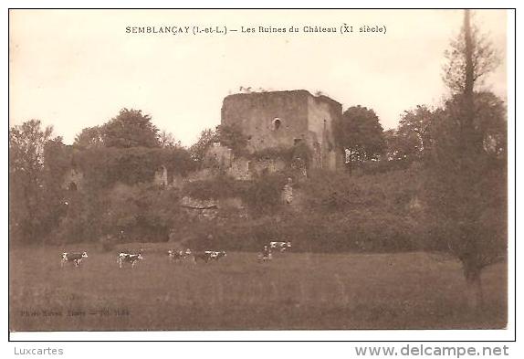 SEMBLANCAY. LES RUINES DU CHATEAU. - Semblançay