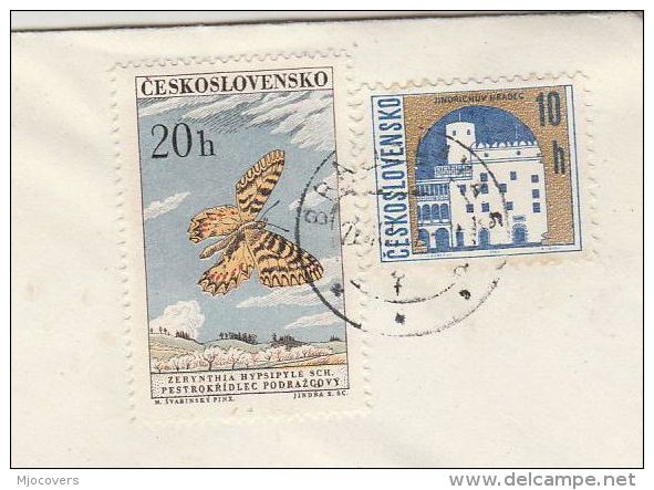 CZECHOSLOVAKIA  COVER 20h BUTTERFLY  Stamps To Germany Butteflies Insect - Covers & Documents