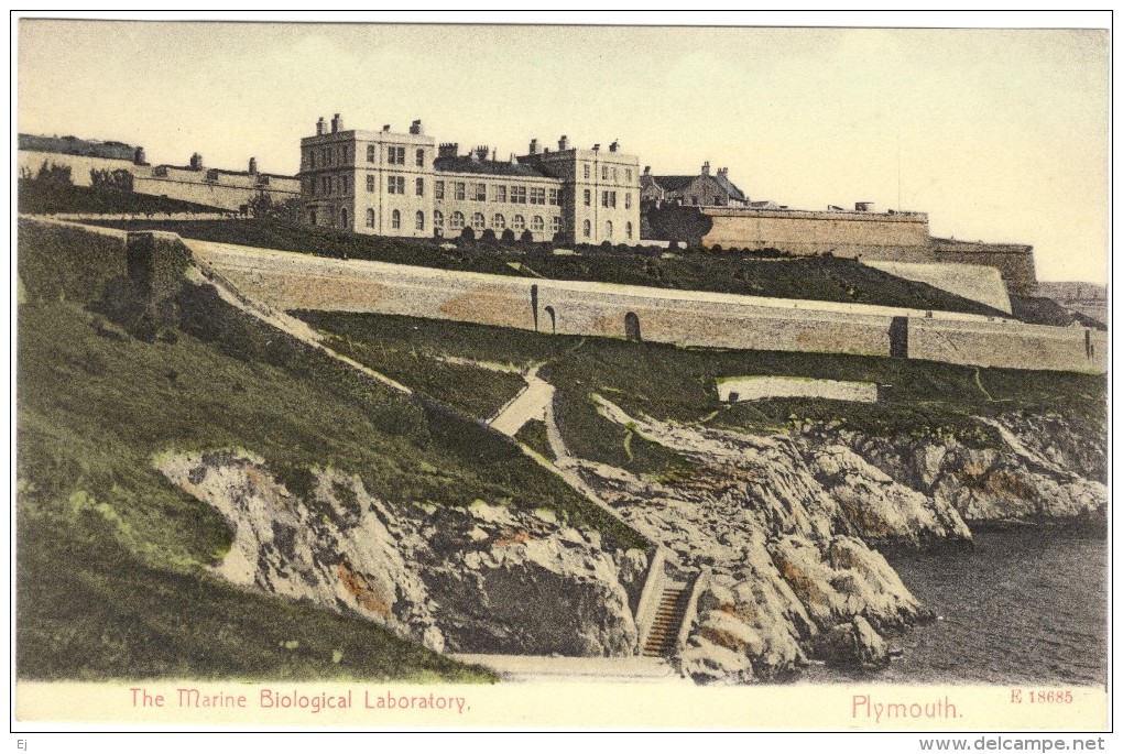 The Marine Biological Laboratory Plymouth Black & White Postcard - Stengel C1918 - Plymouth