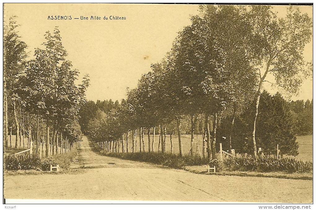 CP De ASSENOIS " Une Allée Du Château  " Léglise  . - Léglise