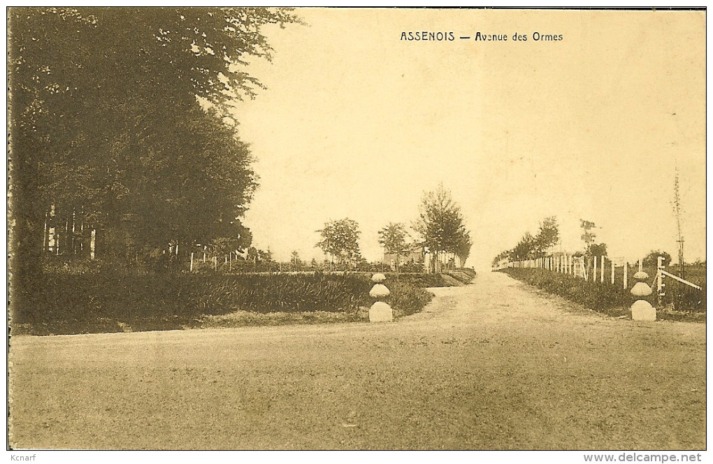 CP De ASSENOIS " Avenue Des Ormes  " Léglise  . - Léglise