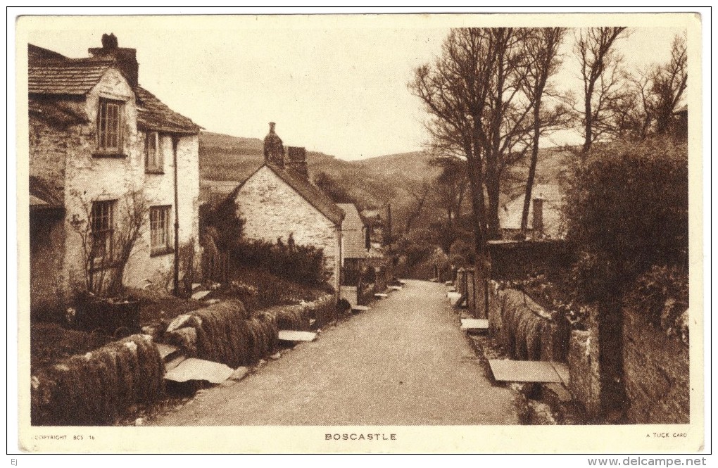 Boscastle Black And White Postcard (pretty Cornish Lane & Cottages) C 1940 - Other & Unclassified