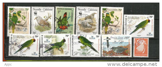 Lot De  11 T-p Oblitérés Oiseaux De Nouvelle-Calédonie . Côte 16,00 € - Usados