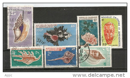 Les Coquillages De Nouvelle-Calédonie.  7 T-p Oblitérés. .  Côte 26.00 € - Used Stamps