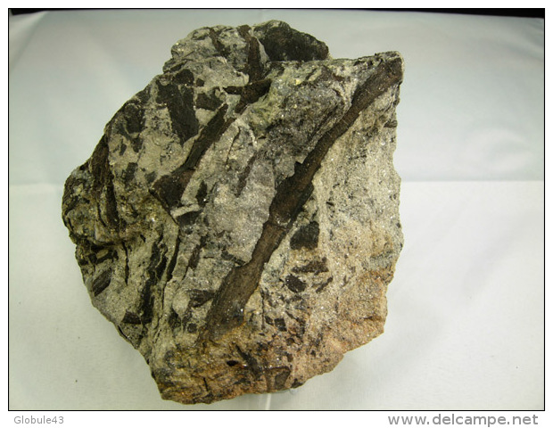 BRANCHES ET BRINDILLES VEGETAUX FOSSILES  12 X 11, CM GRES DE JAHON LANGEAC - Fossils