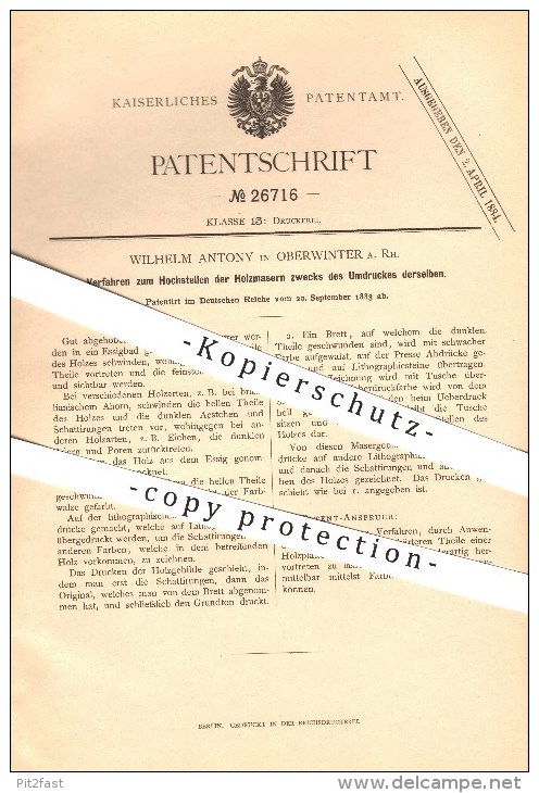 Original Patent - Wilhelm Antony In Oberwinter B. Remagen A. Rh. , 1883 ,  Hochstellen Der Holzmasern , Buchdruck !!! - Remagen