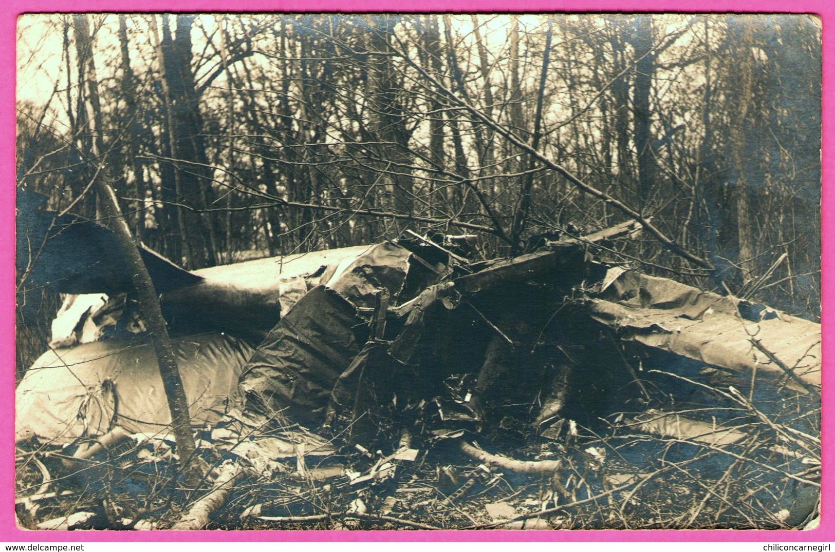 2 Cartes Photo - Accident D'Avion - Avion Allemand ??? - Deutsch ?? - Epaves - Bois - Avion D. 29C1 - Lieu à Identifier - Incidenti