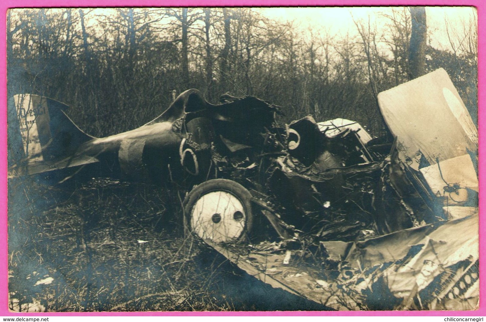 2 Cartes Photo - Accident D'Avion - Avion Allemand ??? - Deutsch ?? - Epaves - Bois - Avion D. 29C1 - Lieu à Identifier - Accidentes