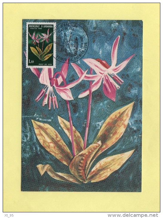 Andorre - Fleur Des Vallees - N°286 - Maximumkarten (MC)