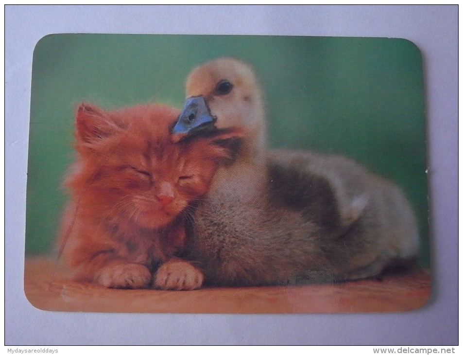 1 CALENDAR SMALL - PORTUGAL ANIMAL CAT DUCK PATO GATO - Grand Format : 1991-00