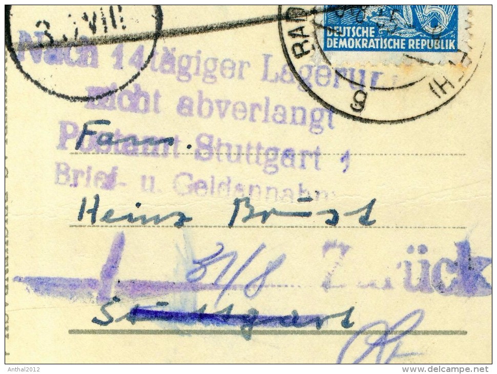 Bad Frankenhausen Thüringen Oberkirchgasse Wohnhäuser Sw 15.8.1955 Mit Zurück-Stempel - Bad Frankenhausen