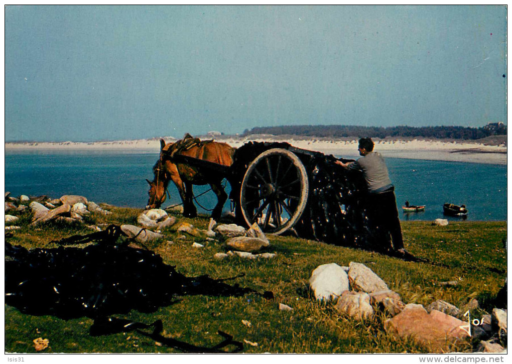 Bretagne - Pêche - Attelage De Chevaux - Poèmes - Récolte Du Goëmon - Poème - Roperh Er Mason - Lieu A Identifier - état - Bretagne