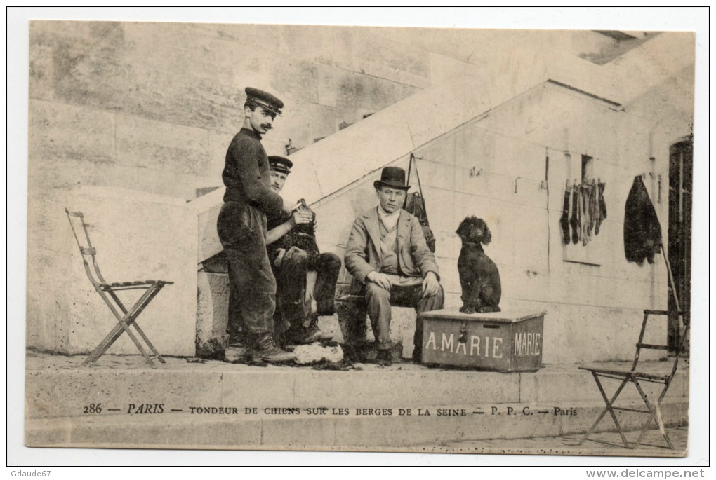 PARIS - TONDEUR DE CHIENS SUR LES BERGES DE LA SEINE - Autres & Non Classés