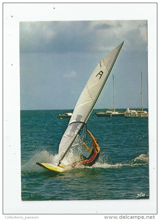 Cp , Planche à Voile , SPORT , Windsurfing , Voyagée 1987 , Ed : YCA 411 - Zeilen