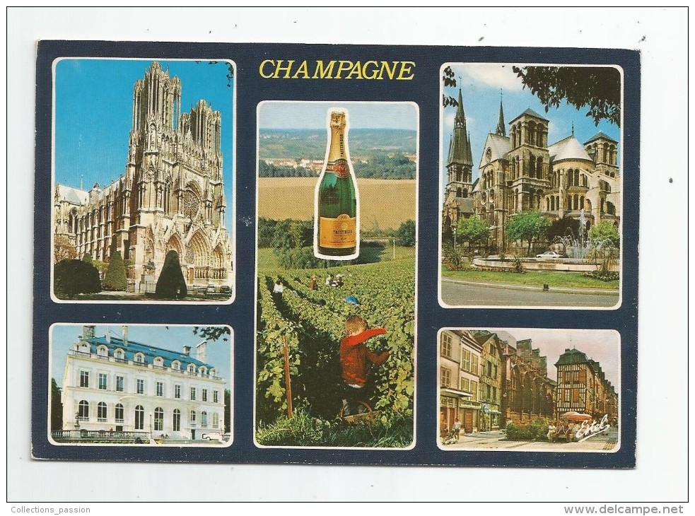 Cp , Vignes , Vin ,  Champagne , Ed : Estel - Leconte , Voyagée 1986 , Vendanges - Weinberge