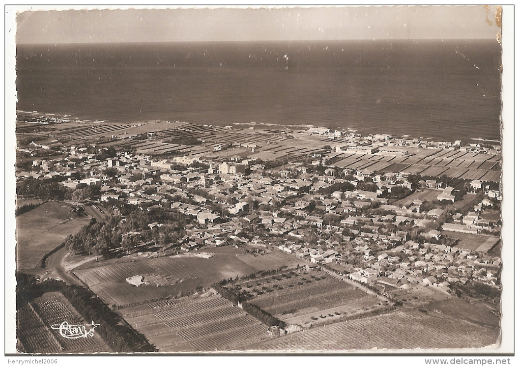 Algérie - Alger - Castiglione - Vue Panoramique Aérienne De La Ville Ed Photo Combier - Algerien