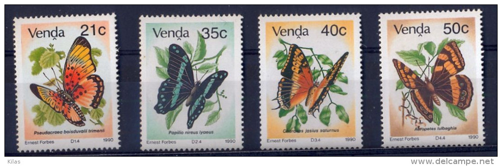 VENDA Honeybees - Abeilles