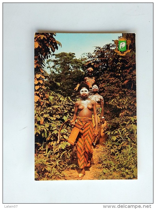 Carte Postale Ancienne :Cote D´Ivoire : Environs De MAN, Départ Pour La Fête Et Les Danses,  Jeunes Filles Aux Seins Nus - Côte-d'Ivoire