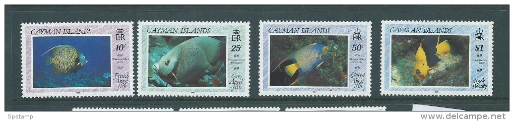 Cayman Islands 1990 Angel Fish Set 4 MLH - Cayman (Isole)
