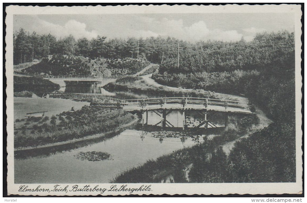 D-25335 Elmshorn - Teich, Butterberg Liethergehölz - Elmshorn