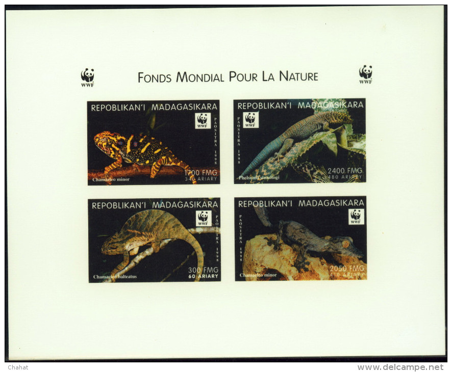 WWF-REPTILES- MINOR'S CHAMELEON & BANDED DAY GECKO- SET OF IMPERF DELUXE PROOF & IMPERF BLOCK--MNH-SCARCE-DCN-108 - Collections, Lots & Séries