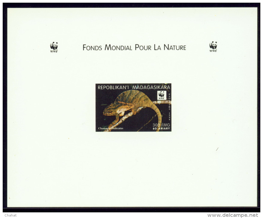 WWF-REPTILES- MINOR'S CHAMELEON & BANDED DAY GECKO- SET OF IMPERF DELUXE PROOF & IMPERF BLOCK--MNH-SCARCE-DCN-108 - Verzamelingen & Reeksen