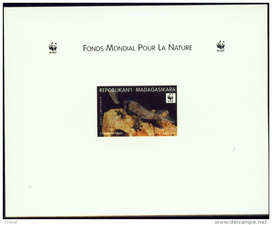 WWF-REPTILES- MINOR'S CHAMELEON & BANDED DAY GECKO- SET OF IMPERF DELUXE PROOF & IMPERF BLOCK--MNH-SCARCE-DCN-108 - Collections, Lots & Series