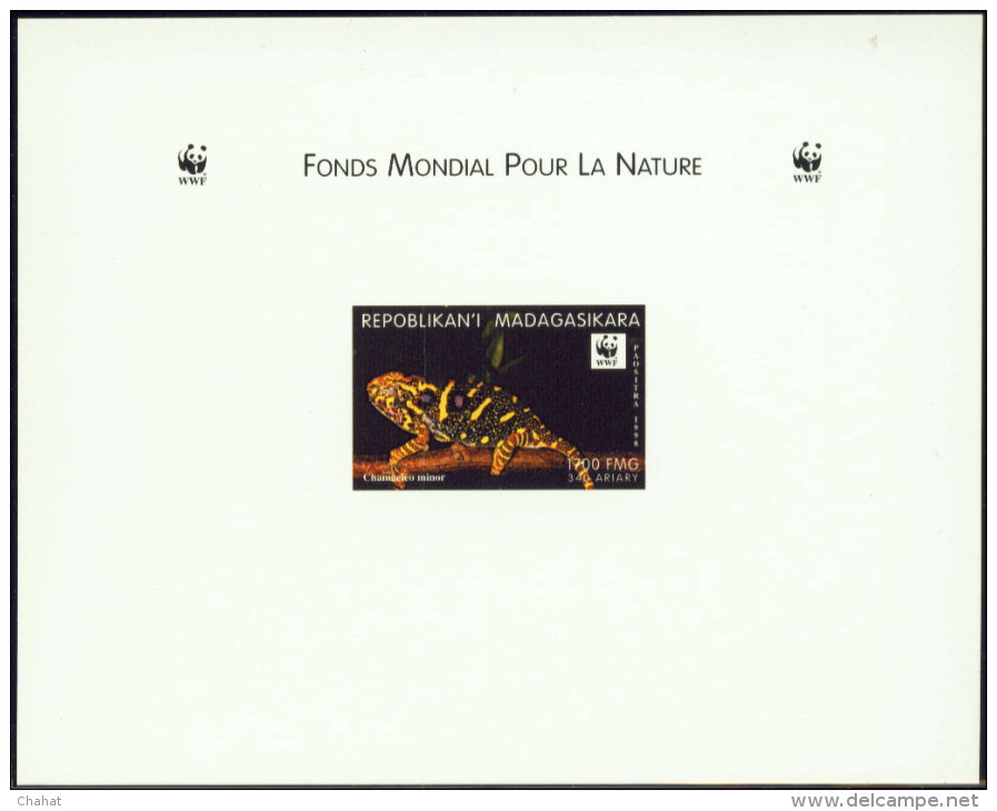 WWF-REPTILES- MINOR'S CHAMELEON & BANDED DAY GECKO- SET OF IMPERF DELUXE PROOF & IMPERF BLOCK--MNH-SCARCE-DCN-108 - Verzamelingen & Reeksen