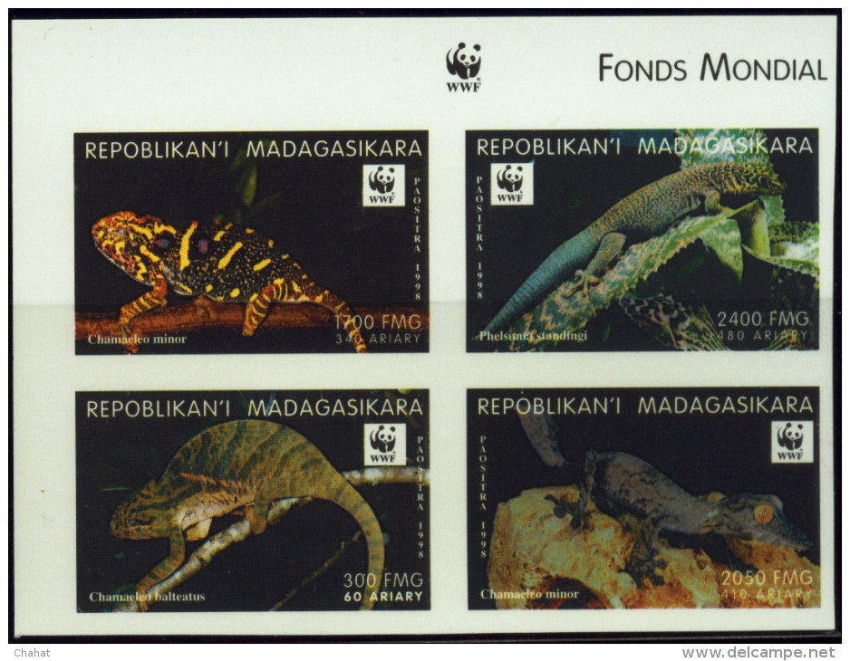 WWF-REPTILES- MINOR'S CHAMELEON & BANDED DAY GECKO- SET OF IMPERF DELUXE PROOF & IMPERF BLOCK--MNH-SCARCE-DCN-108 - Colecciones & Series