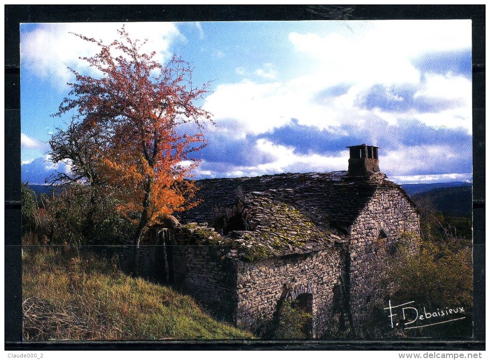 Photos Francis DEBAISIEUX .  Voir Recto - Verso    (T291) - Auvergne